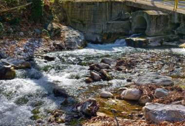 fast mountain pure natural water