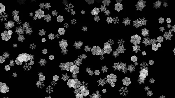 winter snow flakes fall down