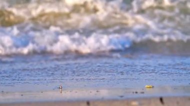 Plaj dalgası makro yavaş çekim