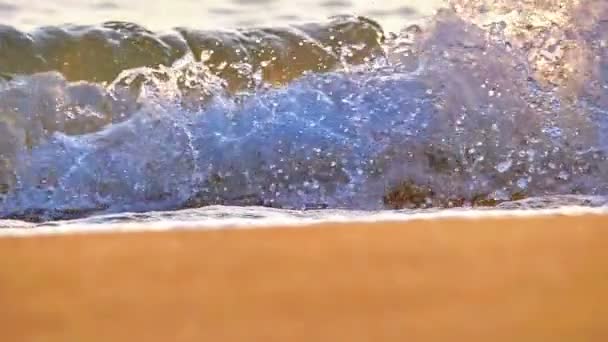 Spiaggia Onda Macro Tramonto Rallentatore — Video Stock