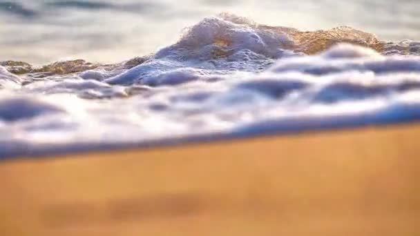 Beach Wave Macro Sunset Slow Motion — Stock Video