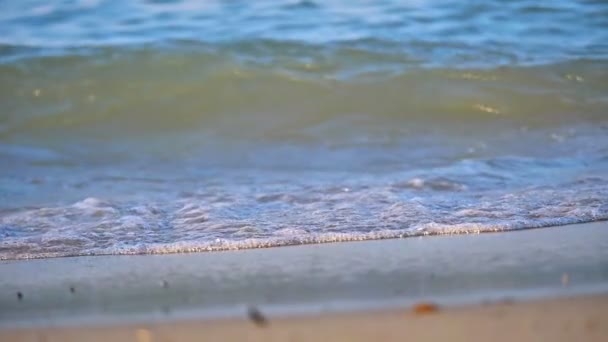海滩波宏观慢动作 — 图库视频影像
