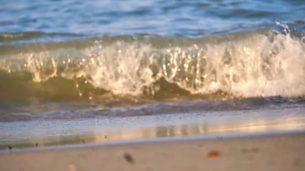 Plage Vague Macro Ralenti — Video