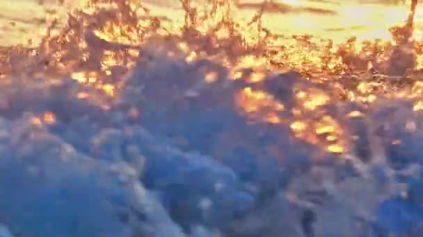 Plaj Dalgası Makro Günbatımı Ağır Çekim — Stok video