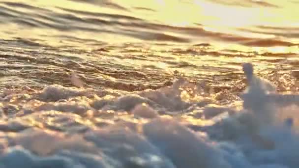 Strand Welle Makro Sonnenuntergang Zeitlupe — Stockvideo