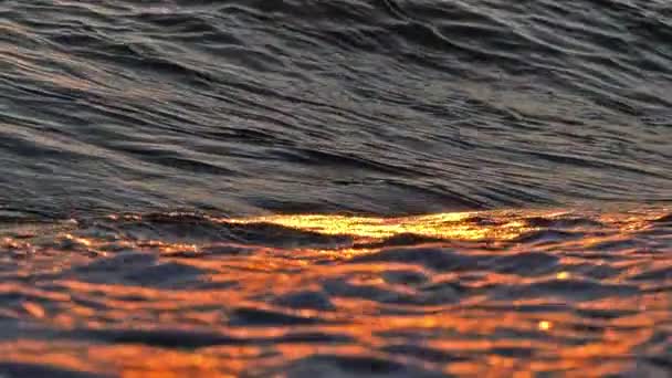 Замедление Захода Солнца Пляже — стоковое видео
