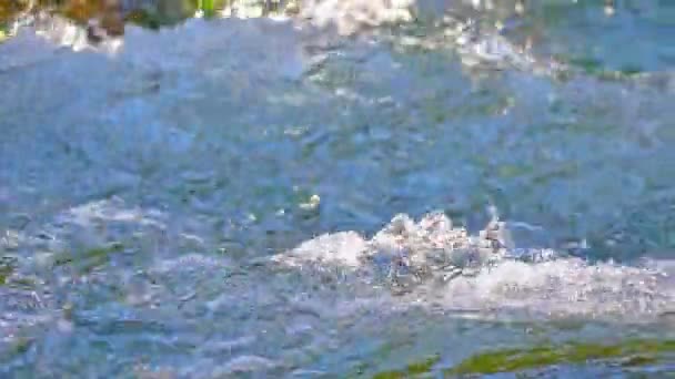 Гористая Скорость Чистая Река — стоковое видео