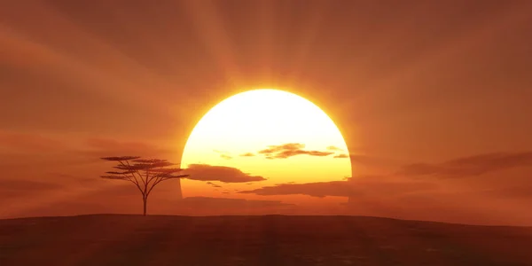 Große Sonne Sonnenuntergang Baumlandschaft, 3D-Illustrationen — Stockfoto