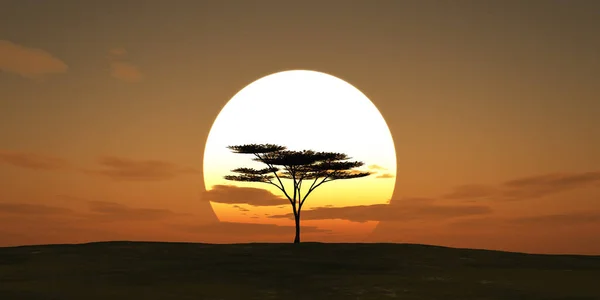 Büyük güneş batımı ağacı manzarası, 3D çizimler.
