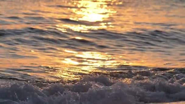 Strandwelle plätschert Makro im Sonnenuntergang in Zeitlupe — Stockvideo