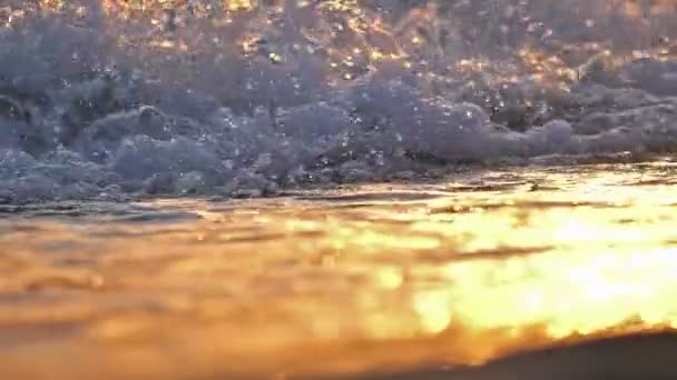 Strand hullám fröccsenő makró naplementében lassított felvétel — Stock videók