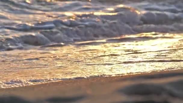 Spiaggia onda spruzzi macro al tramonto rallentatore — Video Stock