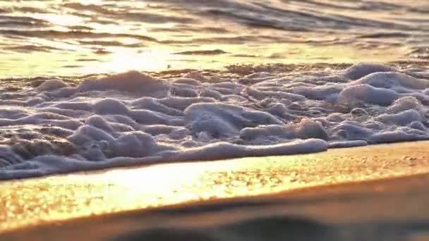 Strandwelle plätschert Makro im Sonnenuntergang in Zeitlupe — Stockvideo