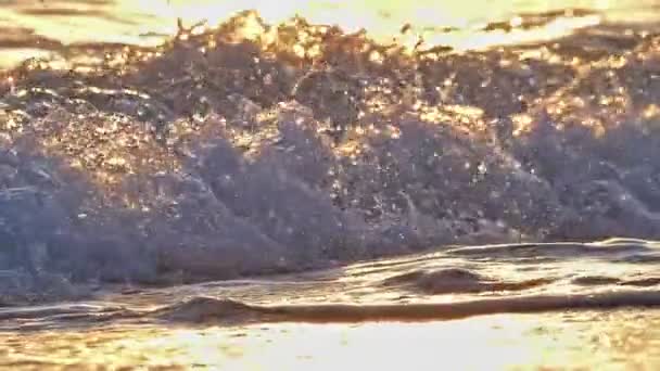 Strand våg stänk makro i solnedgången slow motion — Stockvideo