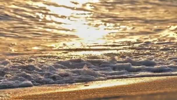 Spiaggia onda spruzzi macro al tramonto rallentatore — Video Stock