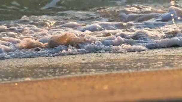 Beach wave splashing macro in sunset slow motion — Stock video