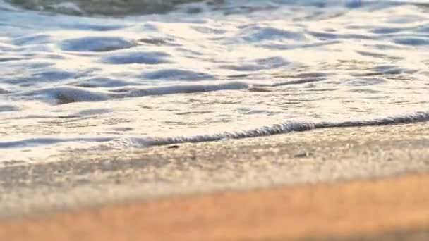 Κύμα παραλία πιτσιλίζει μακροεντολή στο ηλιοβασίλεμα αργή κίνηση — Αρχείο Βίντεο