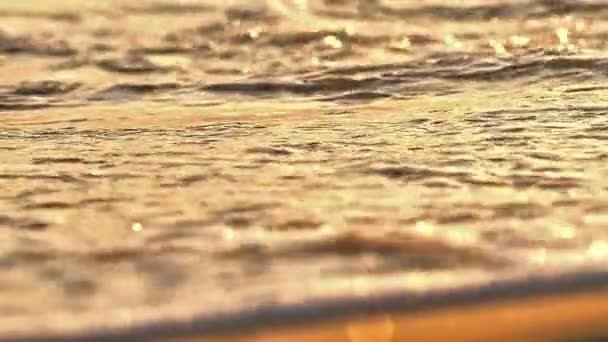 Strandwelle plätschert Makro im Sonnenuntergang in Zeitlupe — Stockvideo
