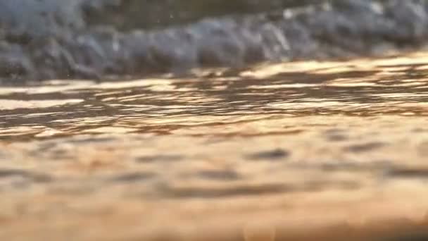 Beach wave splashing macro in sunset slow motion — Stock Video