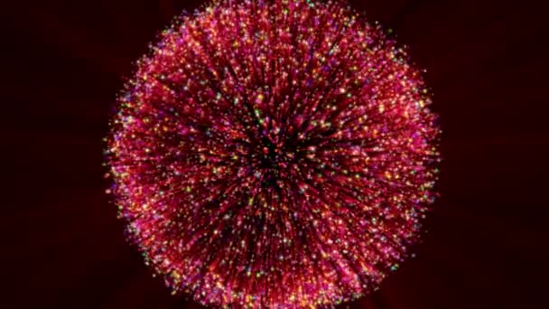 Animazione realistica Fuochi d'artificio colorato — Video Stock