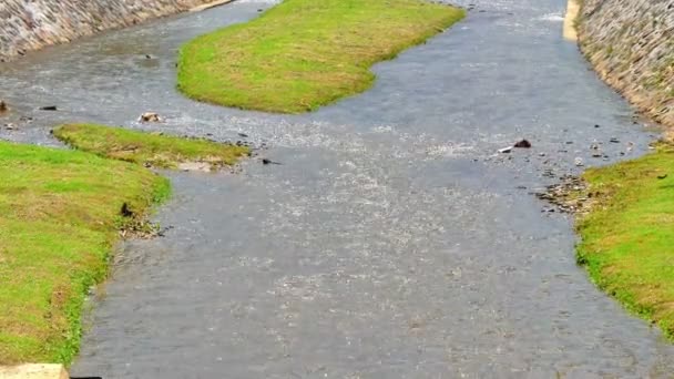 Ένα μικρό ποτάμι στην πόλη 4k — Αρχείο Βίντεο