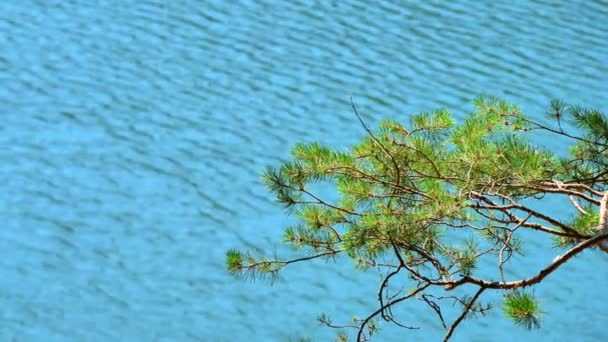 Beau lac Berovo en panorama de montagne 4k — Video