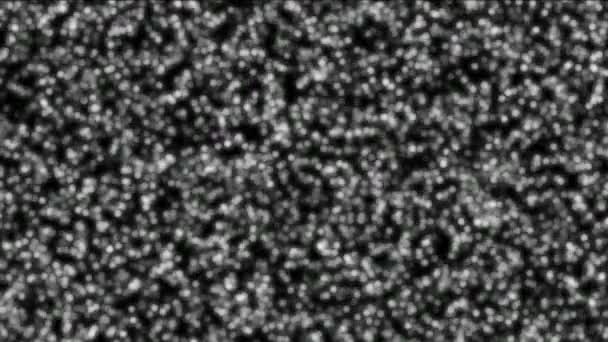 White cell dot 4k — Stock Video