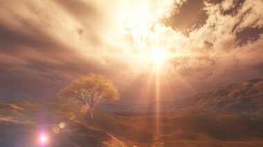 sunset at meadow and lonely tree