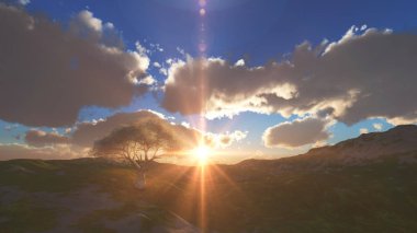 sunset at meadow and lonely tree