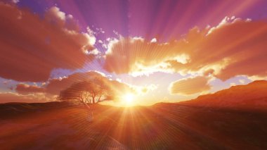 sunset at meadow and lonely tree