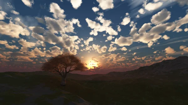 Západ slunce na louce a osamělý strom — Stock fotografie