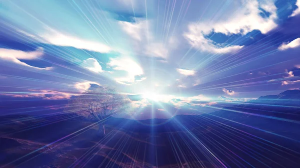 sunset at meadow and lonely tree