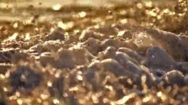 Gün batımında plaj dalgası sıçrayan makro