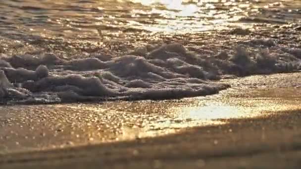 Onda de praia salpicando macro no pôr do sol — Vídeo de Stock