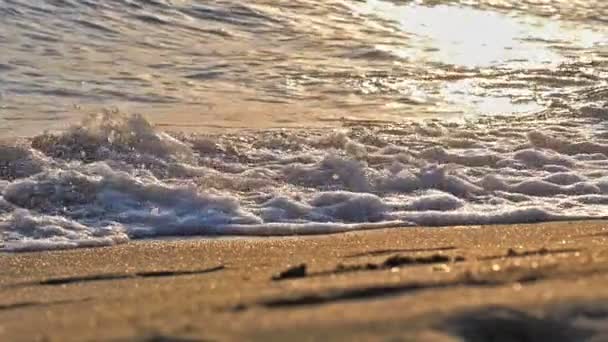 Onda de praia salpicando macro no pôr do sol — Vídeo de Stock