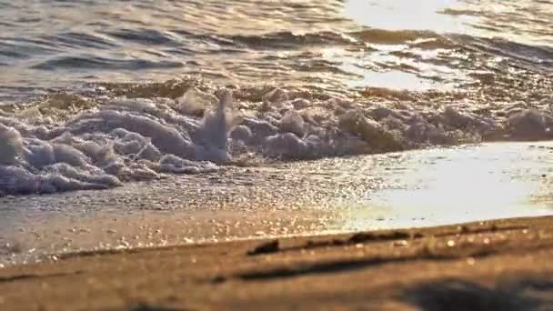 Strand hullám fröccsenő makró naplementében — Stock videók