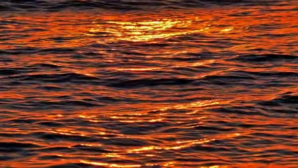 Amanecer dorado mar cámara lenta — Vídeos de Stock