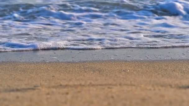 Ola de playa macro cámara lenta — Vídeo de stock