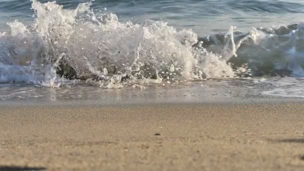 Ola de playa macro cámara lenta — Vídeo de stock