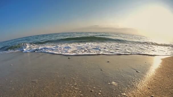 Onda de praia macro câmera lenta — Vídeo de Stock