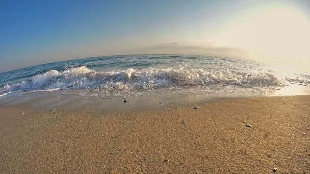 Пляжная волна макро медленная — стоковое видео