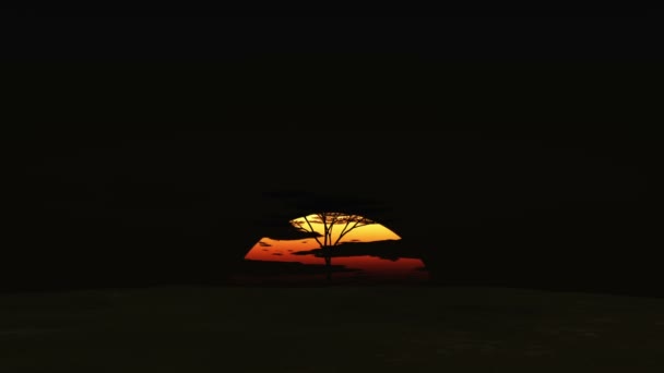 Большой восход солнца в Африке — стоковое видео