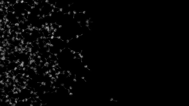 Pampelišková moucha ve vesmíru — Stock video