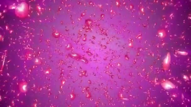 Many red hearts particle fly — Stock Video