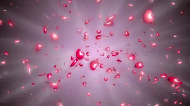 Muchos corazones rojos partícula volar — Vídeo de stock