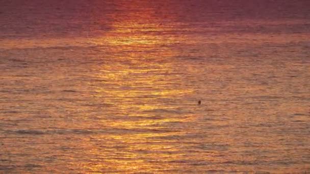 Sonnenaufgang goldenes Meer Zeitlupe 4k — Stockvideo