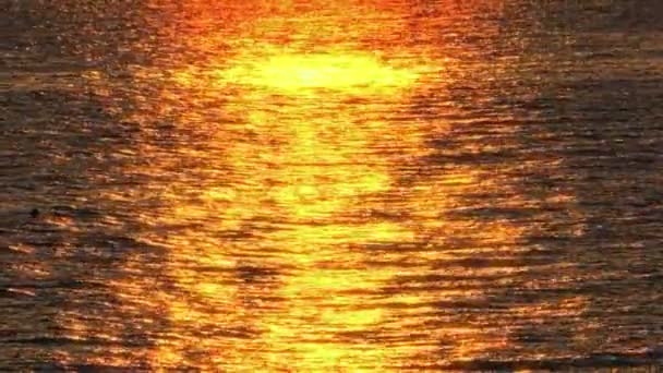 Sunrise golden sea slow motion 4k — Stock Video