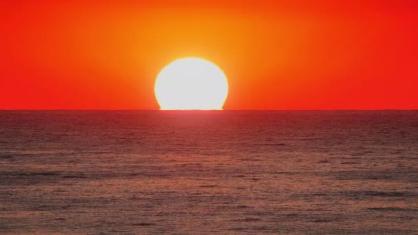 Big sun down over sea, red sky slow motion 4k — Stock Video