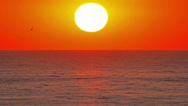 바다 위로 내리쬐는 태양, 붉은 하늘은 천천히 움직 이며 4k — 비디오