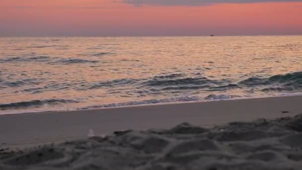Пляжна хвиля макро-захід сонця повільний рух 4k — стокове відео